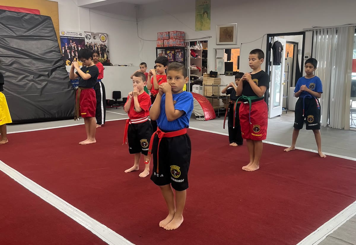 Students in colored belts stand at attention in a line on the red mat, hands raised in front of them.