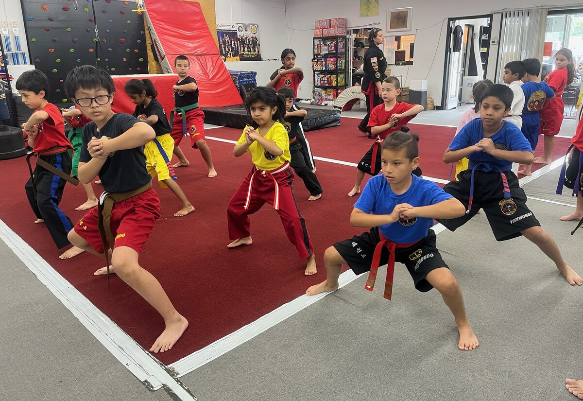 Students wearing gold, green, blue, red, brown and black belts hold a low stance together in class.